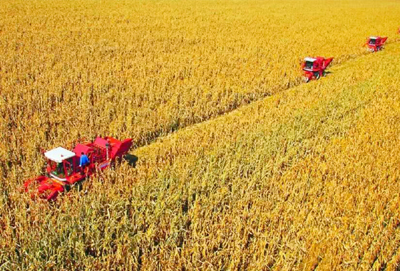 玉米收割機(jī)