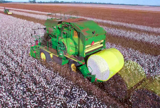 棉花收割機(jī)