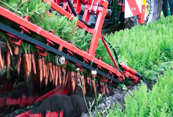 蔬菜收割機(jī)